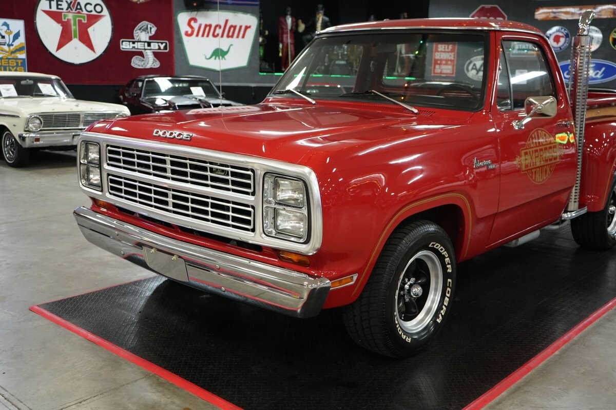 Dodge-Other-Pickups-1979-Truck-26