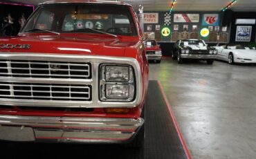 Dodge-Other-Pickups-1979-Truck-27