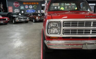 Dodge-Other-Pickups-1979-Truck-28