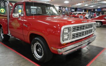 Dodge-Other-Pickups-1979-Truck-29