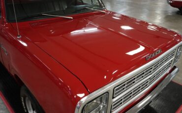 Dodge-Other-Pickups-1979-Truck-30