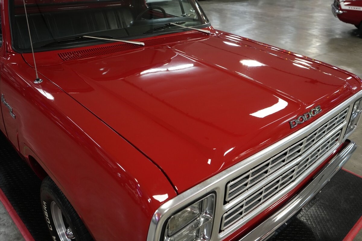 Dodge-Other-Pickups-1979-Truck-30