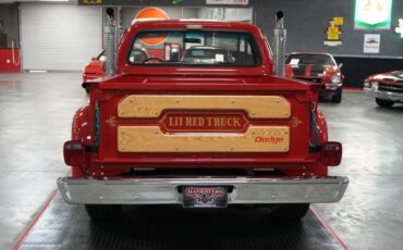 Dodge-Other-Pickups-1979-Truck-4