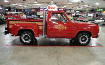 Dodge-Other-Pickups-1979-Truck-6