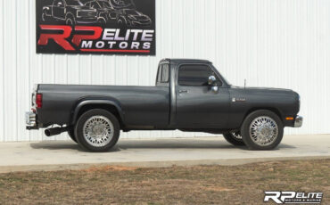 Dodge-Other-Pickups-1990-Pickup-Truck-11