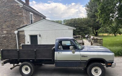 Dodge Other Pickups 1991