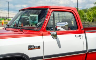 Dodge-Other-Pickups-1991-Pickup-Truck-10