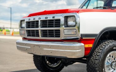 Dodge-Other-Pickups-1991-Pickup-Truck-11