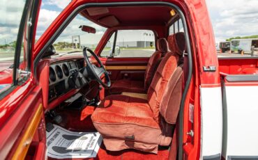 Dodge-Other-Pickups-1991-Pickup-Truck-13