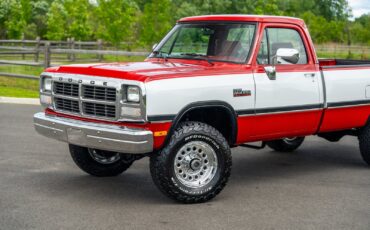 Dodge-Other-Pickups-1991-Pickup-Truck-2