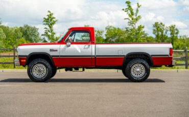 Dodge-Other-Pickups-1991-Pickup-Truck-24