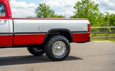 Dodge-Other-Pickups-1991-Pickup-Truck-27