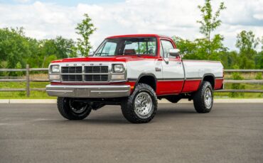 Dodge-Other-Pickups-1991-Pickup-Truck