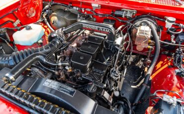 Dodge-Other-Pickups-1991-Pickup-Truck-31