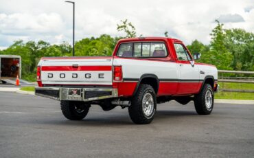 Dodge-Other-Pickups-1991-Pickup-Truck-38