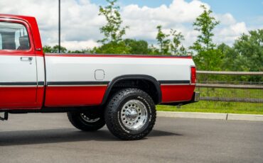 Dodge-Other-Pickups-1991-Pickup-Truck-4