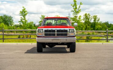 Dodge-Other-Pickups-1991-Pickup-Truck-6
