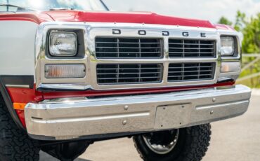Dodge-Other-Pickups-1991-Pickup-Truck-9