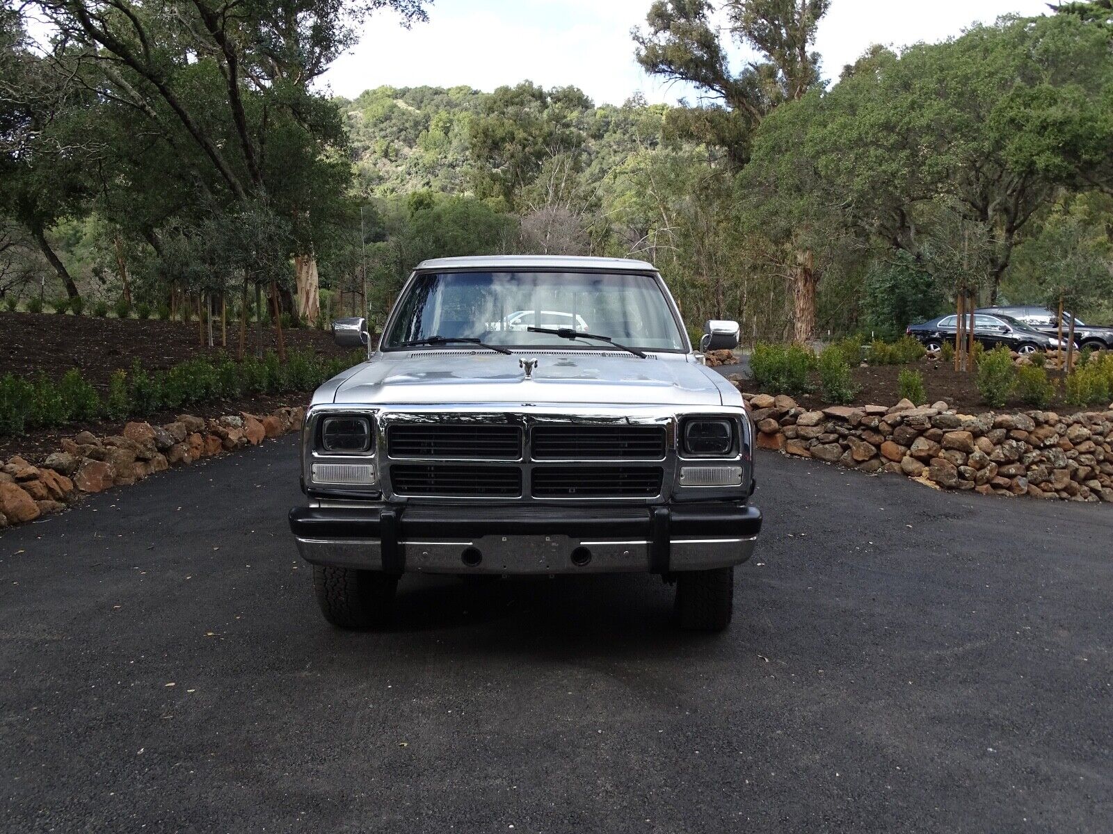 Dodge-Other-Pickups-1991-Standard-Cab-Pickup-1