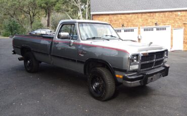 Dodge-Other-Pickups-1991-Standard-Cab-Pickup-2
