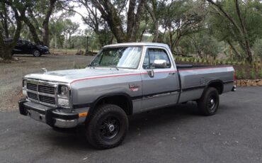 Dodge-Other-Pickups-1991-Standard-Cab-Pickup