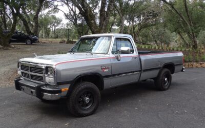 Dodge Other Pickups 1991 Standard Cab Pickup