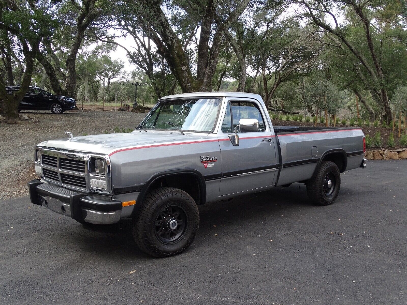 Dodge-Other-Pickups-1991-Standard-Cab-Pickup