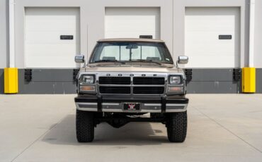 Dodge-Other-Pickups-1993-Pickup-Truck-1