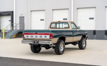 Dodge-Other-Pickups-1993-Pickup-Truck-10