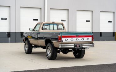 Dodge-Other-Pickups-1993-Pickup-Truck-11
