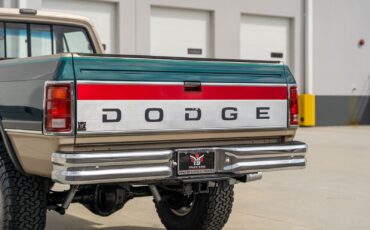 Dodge-Other-Pickups-1993-Pickup-Truck-12