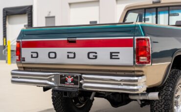 Dodge-Other-Pickups-1993-Pickup-Truck-13