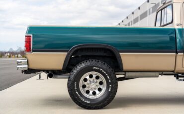 Dodge-Other-Pickups-1993-Pickup-Truck-14