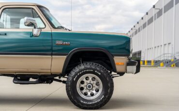 Dodge-Other-Pickups-1993-Pickup-Truck-15