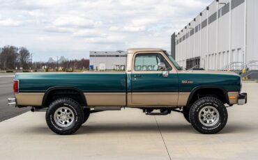 Dodge-Other-Pickups-1993-Pickup-Truck-16