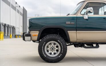 Dodge-Other-Pickups-1993-Pickup-Truck-18