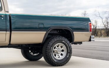 Dodge-Other-Pickups-1993-Pickup-Truck-19
