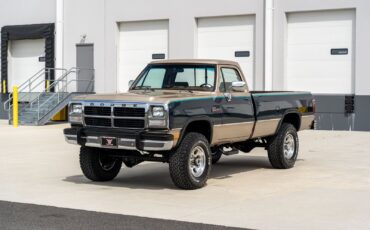 Dodge-Other-Pickups-1993-Pickup-Truck-2