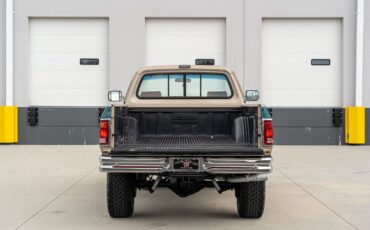Dodge-Other-Pickups-1993-Pickup-Truck-21