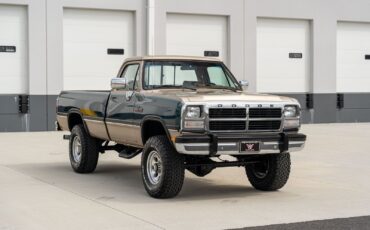 Dodge-Other-Pickups-1993-Pickup-Truck-3