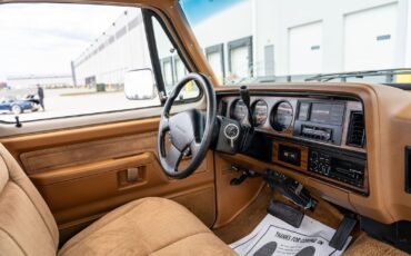 Dodge-Other-Pickups-1993-Pickup-Truck-37