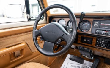 Dodge-Other-Pickups-1993-Pickup-Truck-38