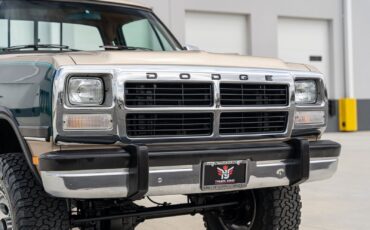 Dodge-Other-Pickups-1993-Pickup-Truck-4