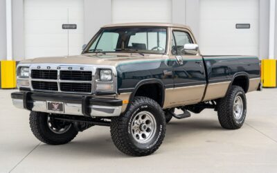 Dodge Other Pickups 1993 Pickup (Truck)