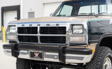 Dodge-Other-Pickups-1993-Pickup-Truck-5