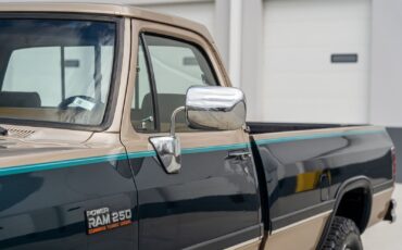Dodge-Other-Pickups-1993-Pickup-Truck-6