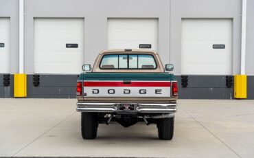 Dodge-Other-Pickups-1993-Pickup-Truck-9