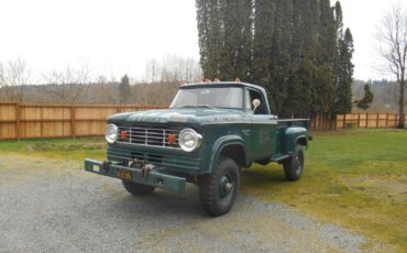 Dodge-Power-Wagon-1966-Standard-Cab-Pickup-1