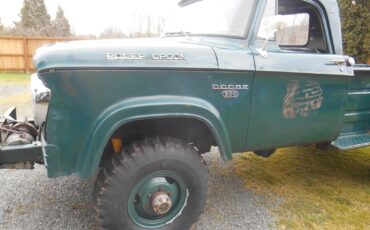 Dodge-Power-Wagon-1966-Standard-Cab-Pickup-11
