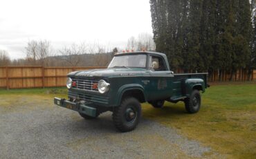 Dodge-Power-Wagon-1966-Standard-Cab-Pickup-2